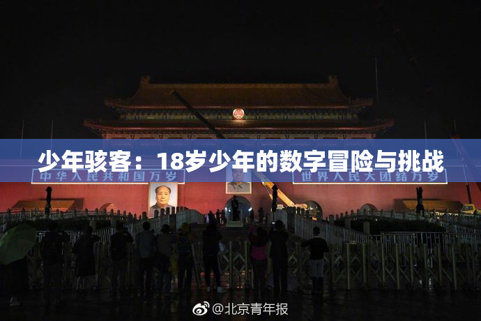 少年骇客：18岁少年的数字冒险与挑战