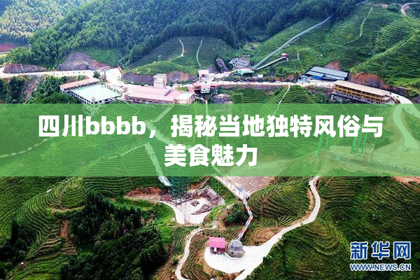 四川bbbb，揭秘当地独特风俗与美食魅力