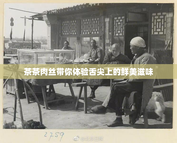 茶茶肉丝带你体验舌尖上的鲜美滋味