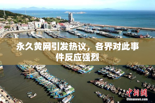 永久黄网引发热议，各界对此事件反应强烈