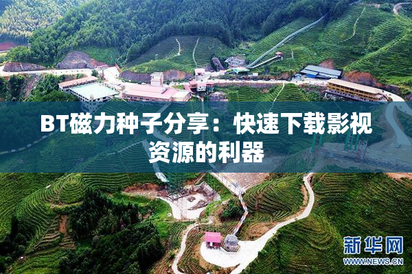 BT磁力种子分享：快速下载影视资源的利器