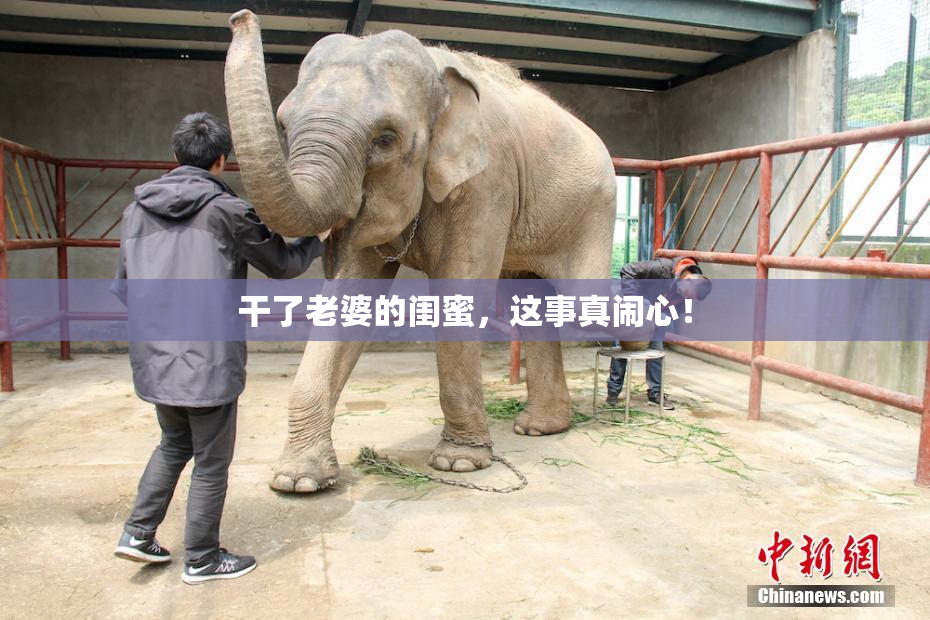 干了老婆的闺蜜，这事真闹心！