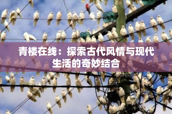 青楼在线：探索古代风情与现代生活的奇妙结合