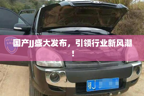 国产JJ盛大发布，引领行业新风潮！