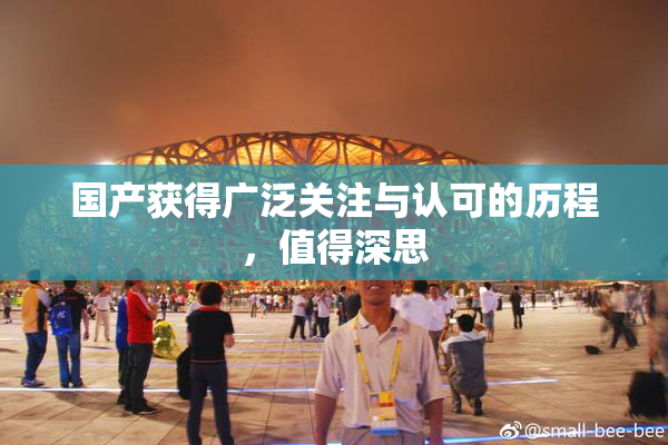 国产获得广泛关注与认可的历程，值得深思