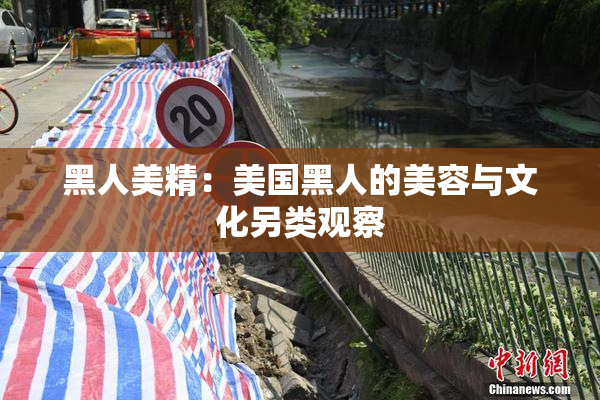黑人美精：美国黑人的美容与文化另类观察
