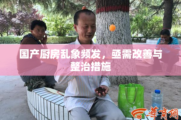 国产厨房乱象频发，亟需改善与整治措施