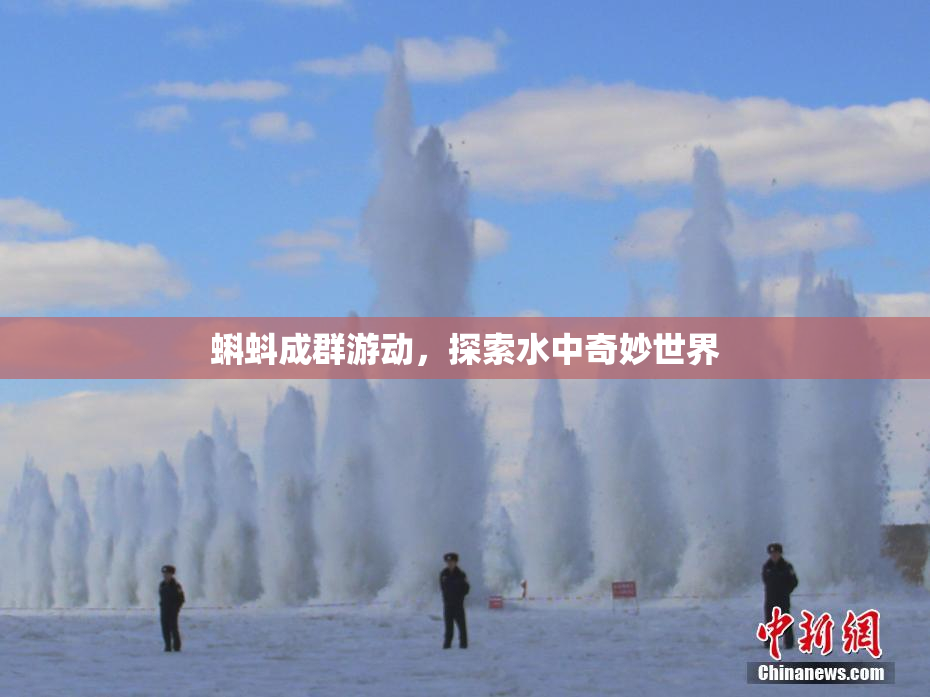 蝌蚪成群游动，探索水中奇妙世界