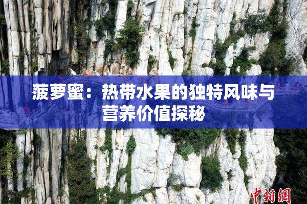 菠萝蜜：热带水果的独特风味与营养价值探秘