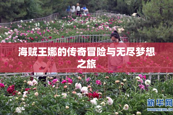 海贼王娜的传奇冒险与无尽梦想之旅