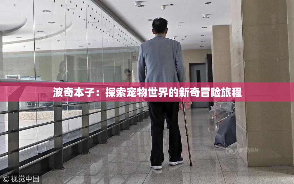 波奇本子：探索宠物世界的新奇冒险旅程