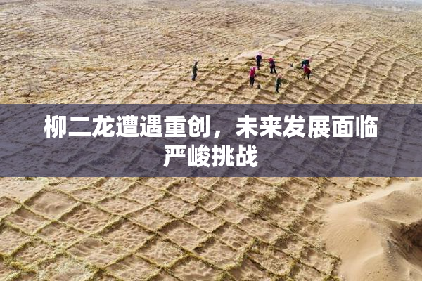 柳二龙遭遇重创，未来发展面临严峻挑战