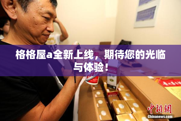 格格屋a全新上线，期待您的光临与体验！