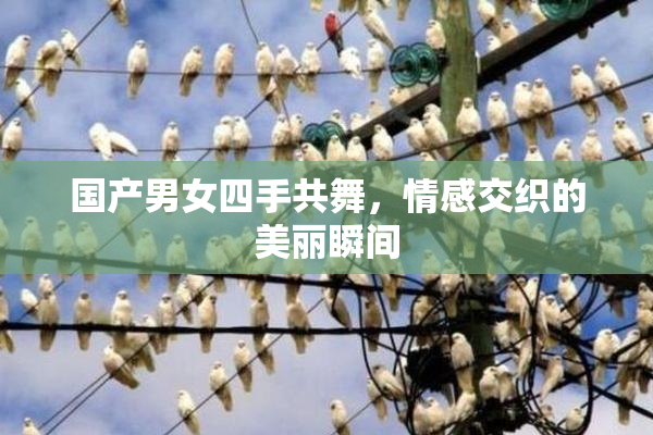 国产男女四手共舞，情感交织的美丽瞬间