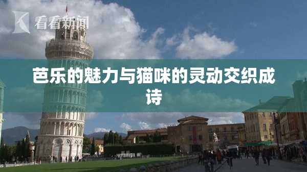 芭乐的魅力与猫咪的灵动交织成诗