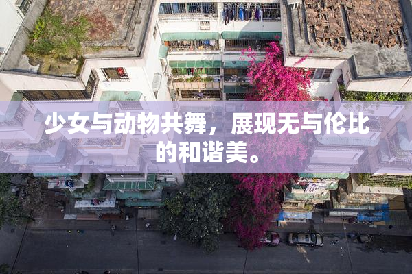 少女与动物共舞，展现无与伦比的和谐美。