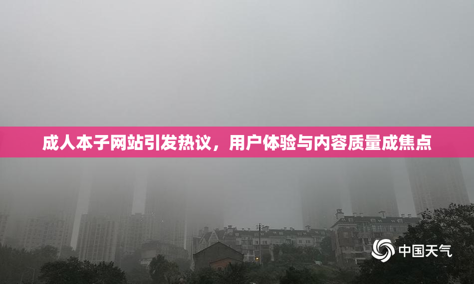 成人本子网站引发热议，用户体验与内容质量成焦点