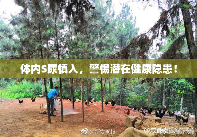 体内S尿慎入，警惕潜在健康隐患！