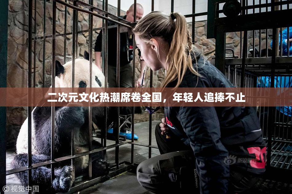 二次元文化热潮席卷全国，年轻人追捧不止