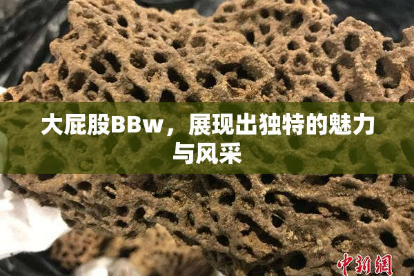 大屁股BBw，展现出独特的魅力与风采