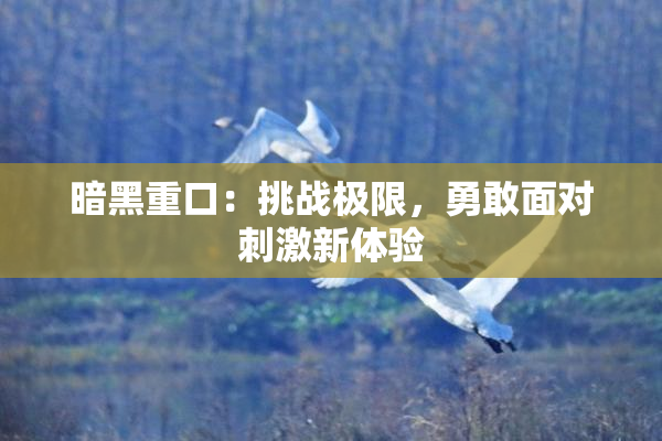 暗黑重口：挑战极限，勇敢面对刺激新体验