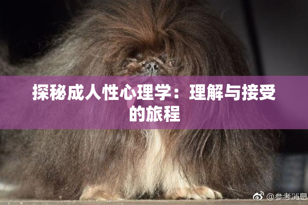 探秘成人性心理学：理解与接受的旅程