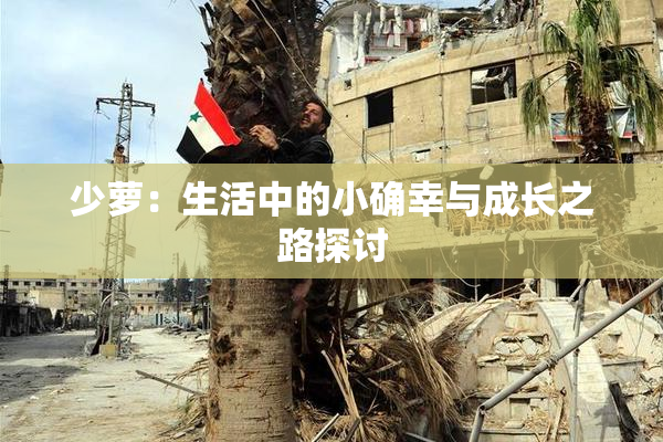 少萝：生活中的小确幸与成长之路探讨