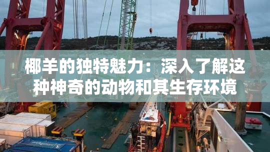 椰羊的独特魅力：深入了解这种神奇的动物和其生存环境