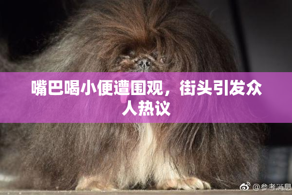 嘴巴喝小便遭围观，街头引发众人热议