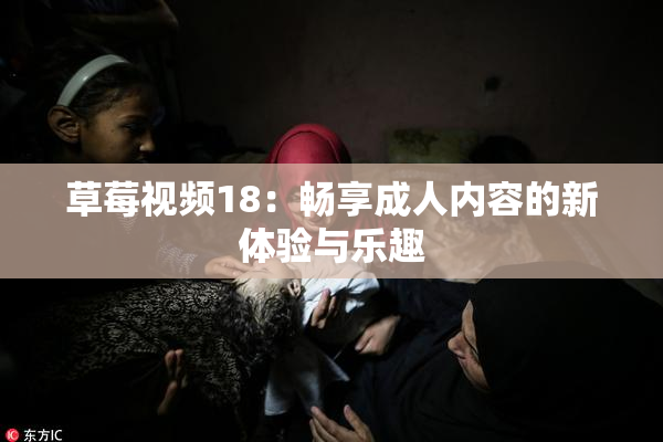 草莓视频18：畅享成人内容的新体验与乐趣