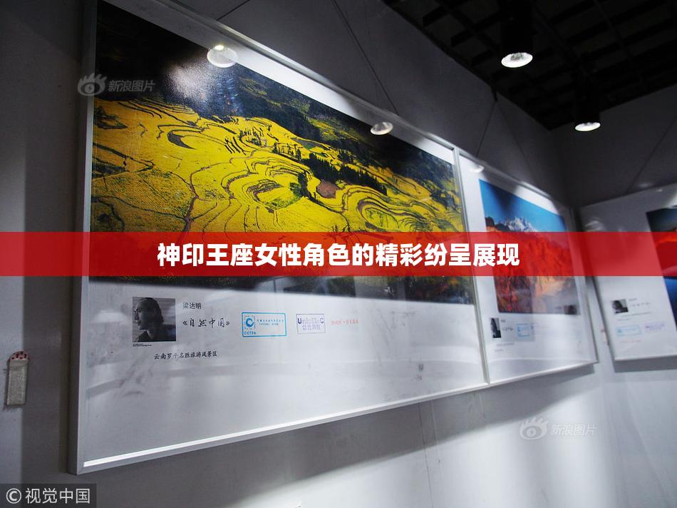 神印王座女性角色的精彩纷呈展现