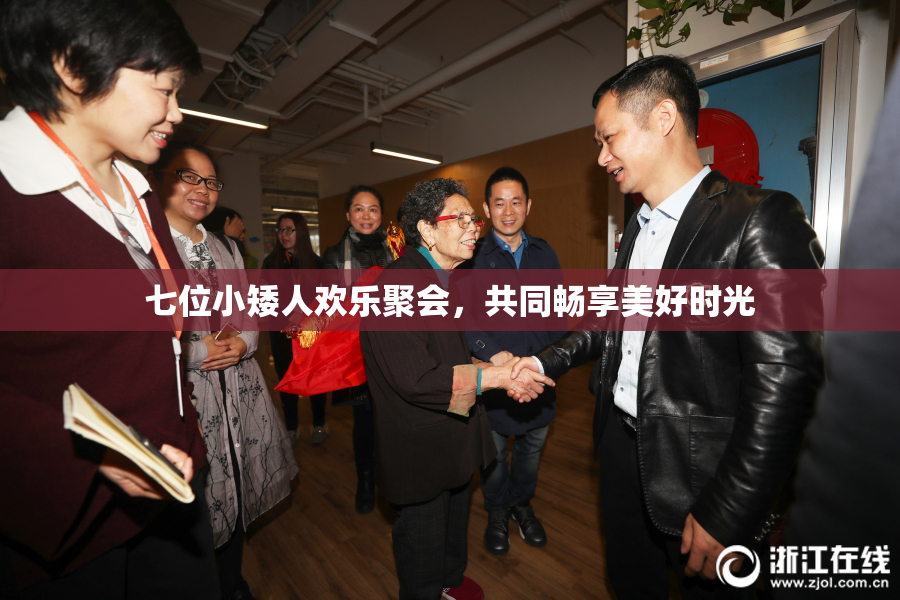 七位小矮人欢乐聚会，共同畅享美好时光