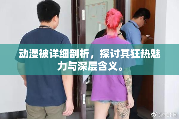 动漫被详细剖析，探讨其狂热魅力与深层含义。
