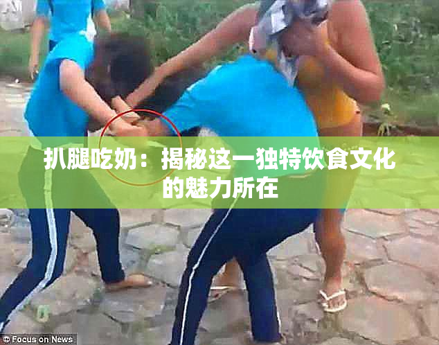 扒腿吃奶：揭秘这一独特饮食文化的魅力所在