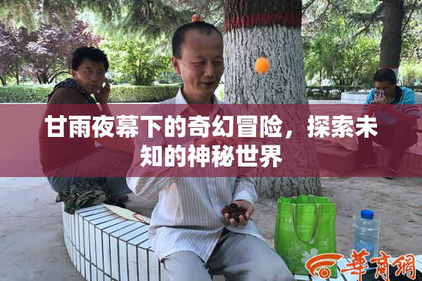 甘雨夜幕下的奇幻冒险，探索未知的神秘世界
