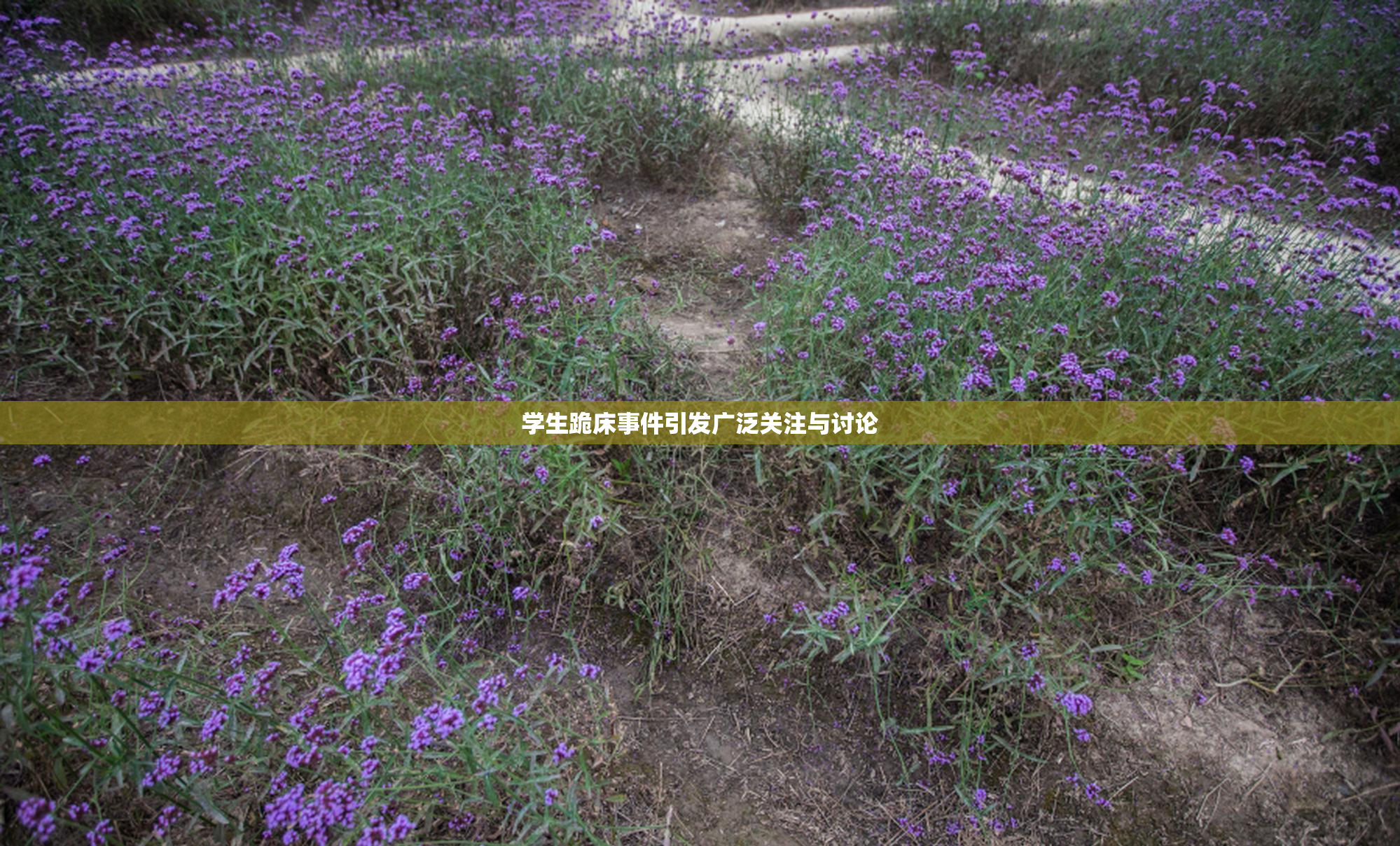 学生跪床事件引发广泛关注与讨论