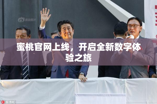蜜桃官网上线，开启全新数字体验之旅