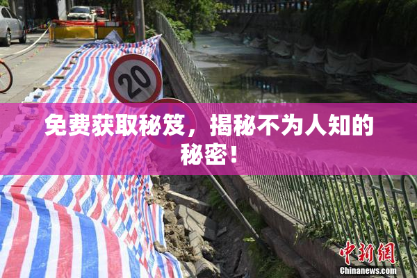 免费获取秘笈，揭秘不为人知的秘密！