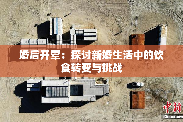 婚后开荤：探讨新婚生活中的饮食转变与挑战