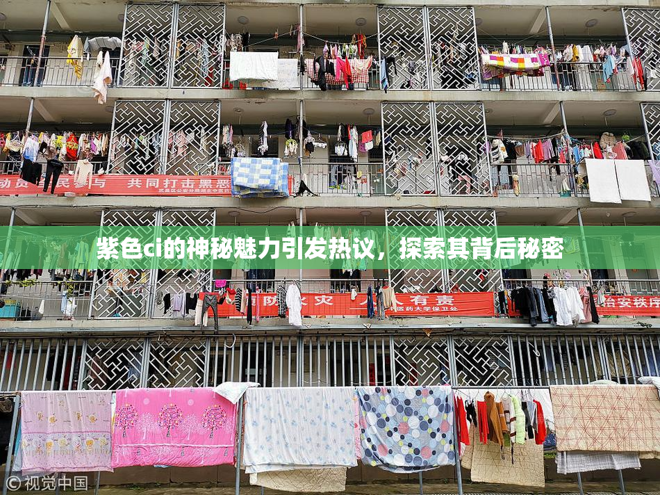 紫色ci的神秘魅力引发热议，探索其背后秘密