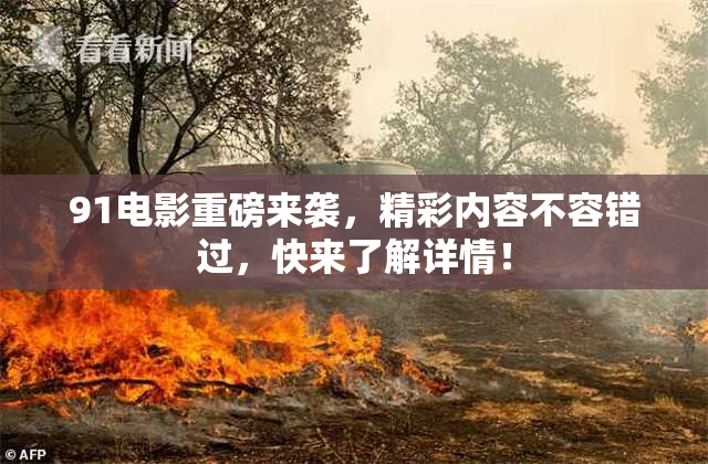 91电影重磅来袭，精彩内容不容错过，快来了解详情！
