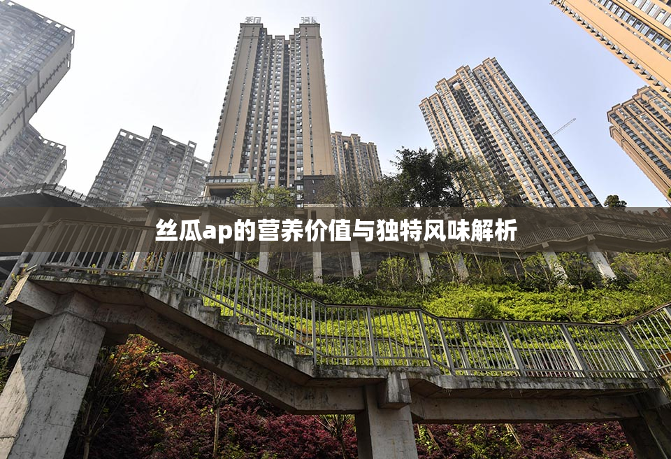 丝瓜ap的营养价值与独特风味解析