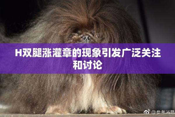 H双腿涨灌章的现象引发广泛关注和讨论