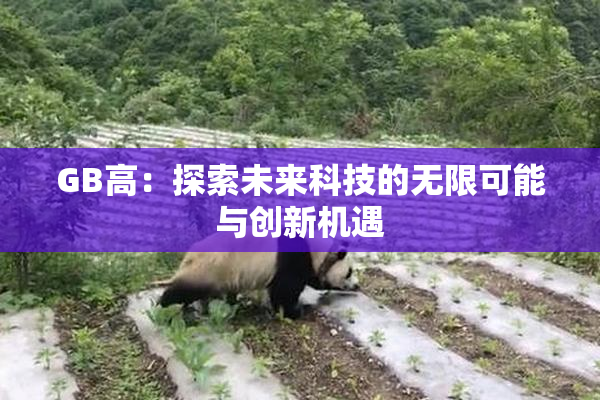 GB高：探索未来科技的无限可能与创新机遇