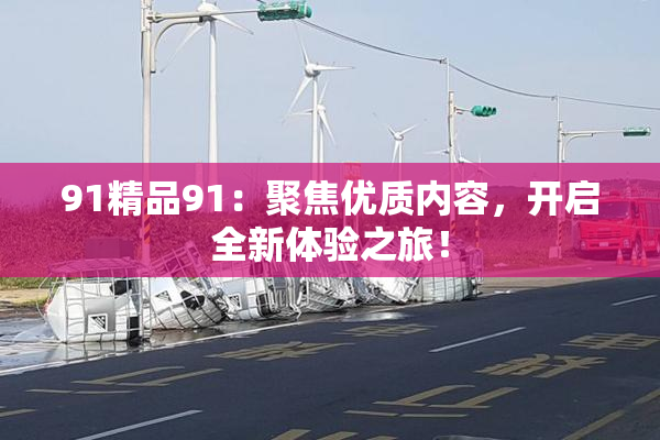 91精品91：聚焦优质内容，开启全新体验之旅！