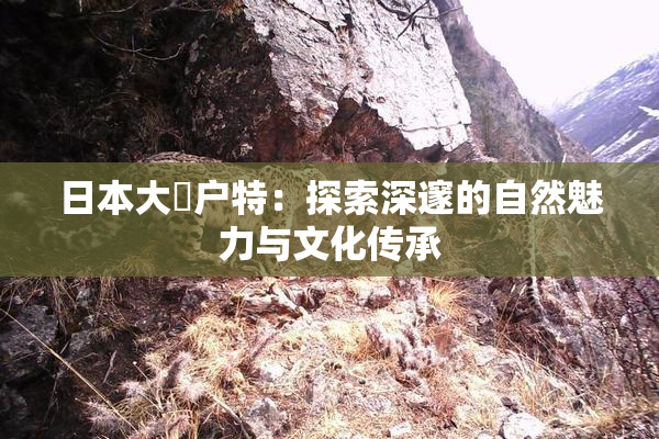 日本大隂户特：探索深邃的自然魅力与文化传承