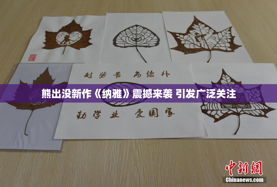 熊出没新作《纳雅》震撼来袭 引发广泛关注