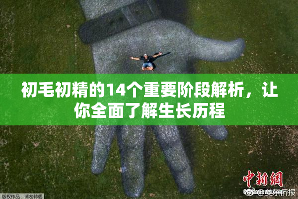 初毛初精的14个重要阶段解析，让你全面了解生长历程