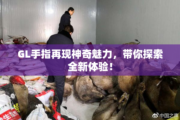 GL手指再现神奇魅力，带你探索全新体验！