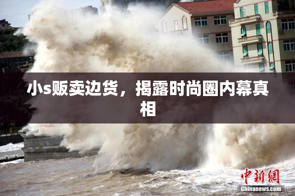 小s贩卖边货，揭露时尚圈内幕真相